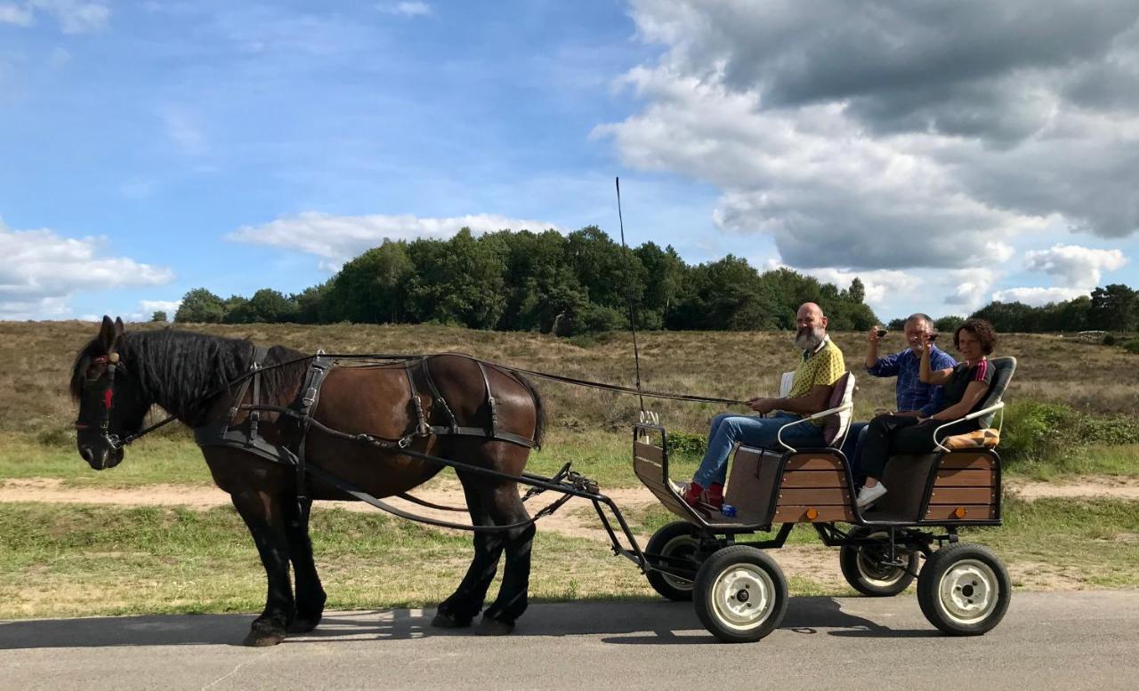 하펠트 Het Grote Paard 아파트 외부 사진