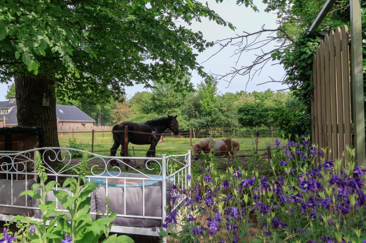 하펠트 Het Grote Paard 아파트 외부 사진