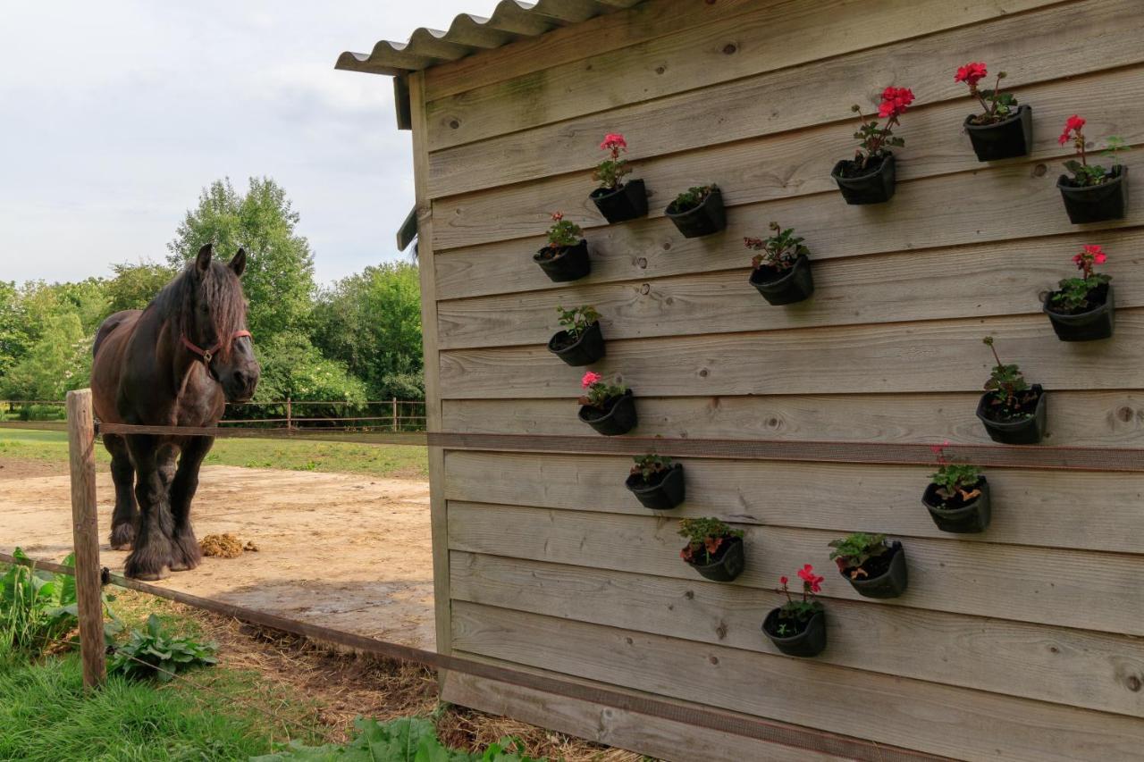 하펠트 Het Grote Paard 아파트 외부 사진